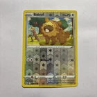 Bidoof