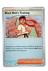 Black Belt's Training