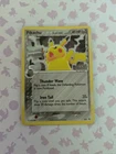 Pikachu Delta Species