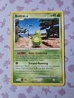 Budew