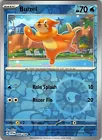 Buizel