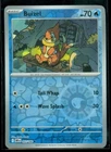 Buizel