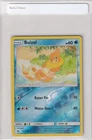 Buizel