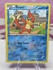 Buizel