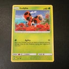 Ledyba