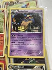 Cofagrigus