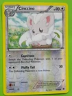 Cinccino