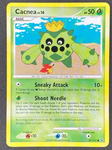 Cacnea
