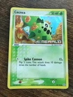Cacnea
