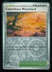 Calamitous Wasteland