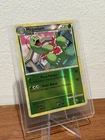 Meganium
