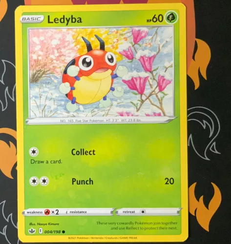 Ledyba