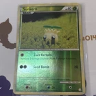 Sunkern