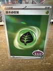 Grass Energy