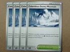 Calamitous Snowy Mountain