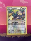 Ambipom