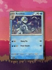 Arctibax