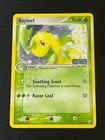 Bayleef