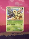 Bayleef