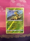 Bayleef