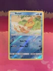 Buizel