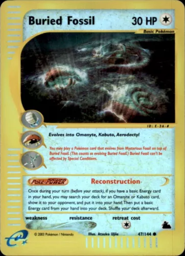 Buried Fossil