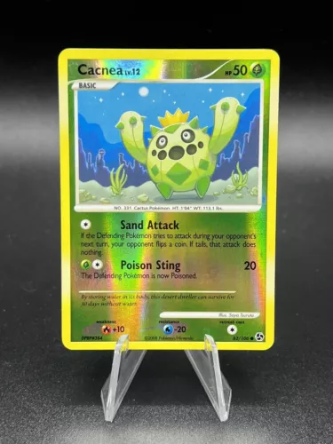 Cacnea