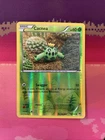 Cacnea