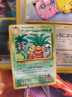 Sceptile EX