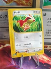 Pidgey