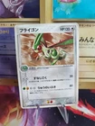 Flygon V
