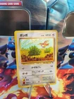 Pidgey