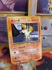 Ponyta