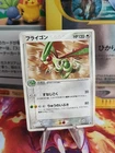 Flygon V