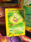 Meganium