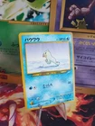 Seel
