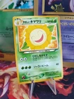 Light Sunflora
