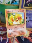 Ponyta
