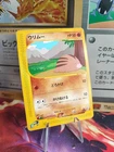Swinub