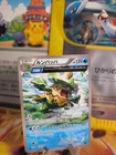Ludicolo