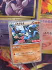 Lucario