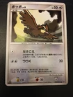 Pidgey