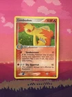 Combusken