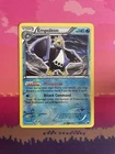 Empoleon