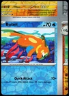 Buizel