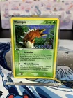 Wurmple