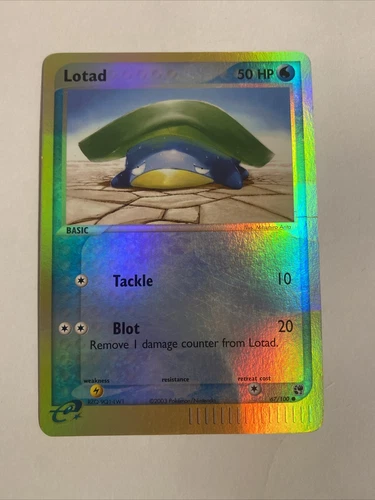 Lotad