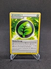 Herbal Energy