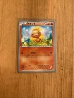 Torchic