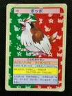 Pidgey
